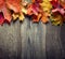 Autumn leaf on wood black background, foliage leaf on old grunge wood deck, copy spaÑe, top view, tablet for text, top view