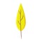 Autumn leave 3D. Fall leaf, minimal 3d render, plasticine, vector