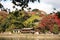 Autumn leave near Ryokan