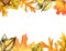 Autumn leaves and acorn border frame with space text on transparent background. Seasonal floral maple oak tree orange leaves