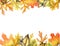 Autumn leaves and acorn border frame with space text on transparent background. Seasonal floral maple oak tree orange leaves with