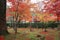 Autumn Leaves Of Adashino Nenbutsu-ji