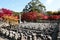 Autumn Leaves Of Adashino Nenbutsu-ji of Buddha statue