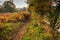 Autumn leaves along the River South Tyne