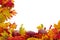 Autumn Leaves and Apples Background