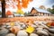 autumn leaves around cabins stone foundation