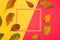 autumn leaves around frame on red-yellow background, frame as copy space, flat lay