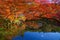 autumn leaves around pond at Daigoji temple, Kyoto