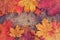 Autumn leaves arranged in a frame on a shabby chic backgr