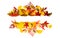 Autumn leaves background. Autumn fall frames borders. Fall leaf banner. Thanksgiving background, fall design, texture