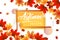 Autumn leaves background. Autumnal border with isolated yellow maple.Autumn vector background banner.