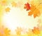 Autumn leaves background frame