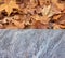 Autumn leaves background with grey ground