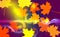 Autumn leaves background. Landscape very shallow rays and sunlight spots. Vector illustration