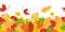 Autumn leaves background. Seamless border, pattern with fallen leaves of maple, oak and rowan.