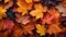 Autumn Leaves Background: Warm Colors, Scattered Composition