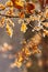 Autumn leaves backlight in a forest. Nature background. Warm ton