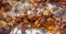 Autumn leaves on the bark of a birch woodpile