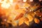 autumn leaves on a beautiful blurred autumn landscape, panorama with autumn leaves in the sun, advertising space on a leafy