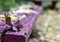 Autumn leaves on bench in park