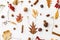 Autumn leaves, berries, acorns, walnuts, cinnamon and anise on white background. Autumnal pattern with natural forest details,