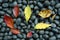 Autumn leaves and black pebbles