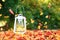 Autumn leaves blowing around a lit lantern