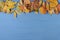 Autumn leaves on blue wood. Fall background. Horizontal, copy space