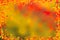 Autumn leaves border background. Thanksgiving concept.