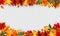 Autumn leaves border frame with space text on transparent background. Can be used for thanksgiving, harvest holida