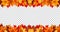 Autumn leaves border frame with space text on transparent background. Can be used for thanksgiving, harvest holida