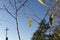 Autumn leaves on the branches of a tree and cross