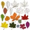 Autumn leaves bush collection set