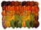 Autumn leaves. Canvas set of autumn leaves gradient from dark, orange, yellow,green lying in a row on each other. Rainbow carpet