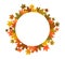 Autumn leaves, circle, copy space, colorful foliage, maple, for thanksgiving or fall related decorat