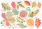 Autumn leaves by color pencil on white background. Falling leaf crayon hand-drawn illustration. Yellow red leaf clipart