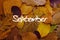 Autumn Leaves Colorful Background. September Concept Wallpaper.