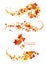 Autumn leaves design elements