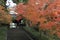 Autumn leaves at Engaku temple