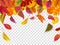 Autumn leaves fall. Falling blurred leaf, autumnal foliage fall and wind rises yellow leaves isolated vector