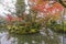 Autumn leaves, Fall foliage and colorful reflections at Enmei-in temple Pond. Kyoto, Japan.