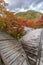 Autumn leaves, fall foliage forest landscape near Ruriko-in Komyo-ji temple. Located in Sakyo ward, Kyoto, Japan