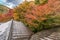 Autumn leaves, fall foliage forest landscape near Ruriko-in Komyo-ji temple. Located in Sakyo ward, Kyoto, Japan