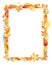 Autumn Leaves Fall Frame Template Watercolor Illustration Isolated Orange Leaf Border. Watercolor stains. Template for