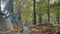 Autumn leaves falling from the trees near benches on a beautiful sunny day in the park -