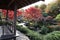 Autumn leaves in Flatly Landscaped Garden in Koko-en Garden, Himeji, Japan