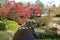 Autumn leaves in Flatly Landscaped Garden in Koko-en Garden, Himeji, Japan