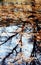 Autumn leaves floating on pond