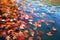 autumn leaves floating on a still pond