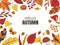 Autumn leaves frame. Decorative borders with fall foliage for greeting cards, invitations and posters. Vector hand drawn